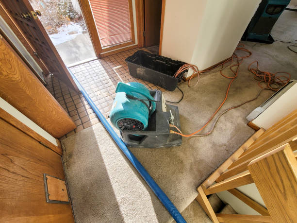 Best Basement water damage restoration  in Cameron Park, TX