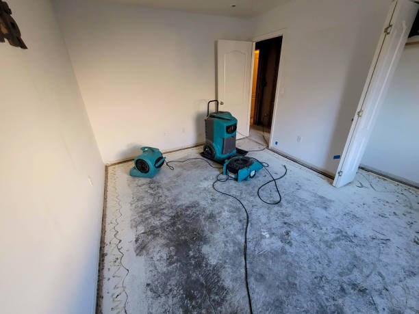 Best Water damage restoration process  in Cameron Park, TX
