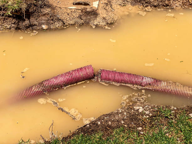 Water damage restoration process in Cameron Park, TX